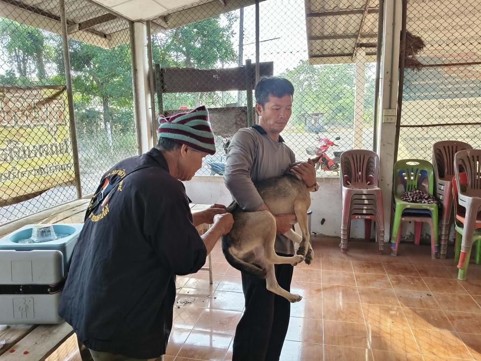 กิจกรรมลงพื้นที่ฉีดวัคซีนป้องกันโรคพิษสุนัขบ้าและทำหมันให้กับสัตว์เลี้ยง(สุนัข-แมว) ในเขตรับผิดชอบเทศบาลตำบลตาเกา ประจำปีงบประมาณ 2568
